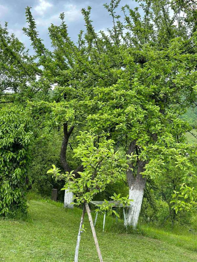 Visoko Gorani Cottage Екстериор снимка