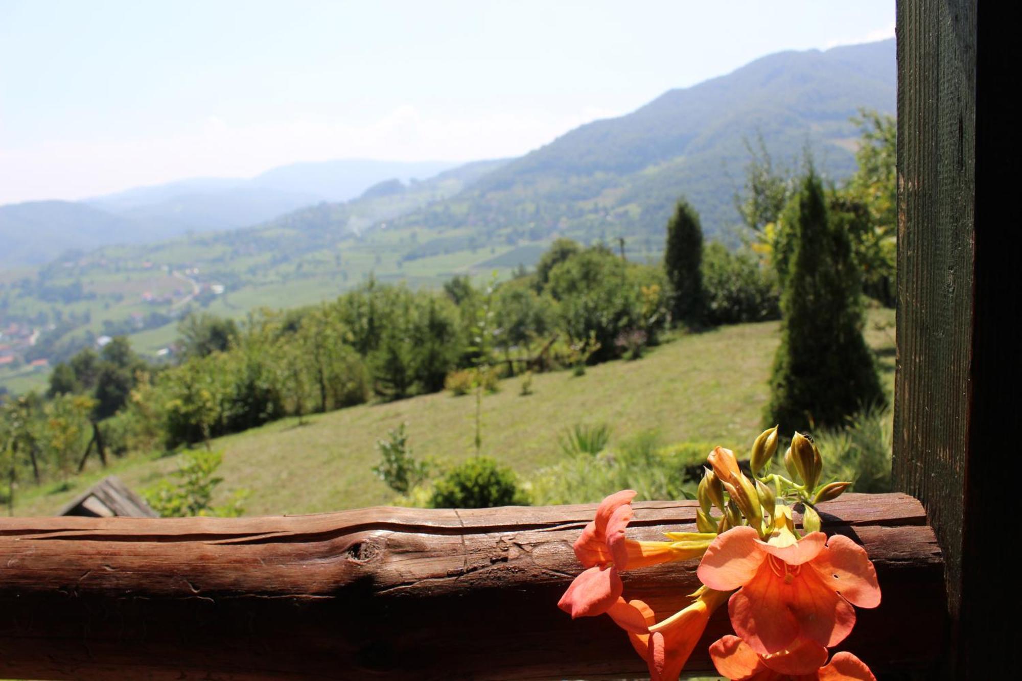 Visoko Gorani Cottage Екстериор снимка