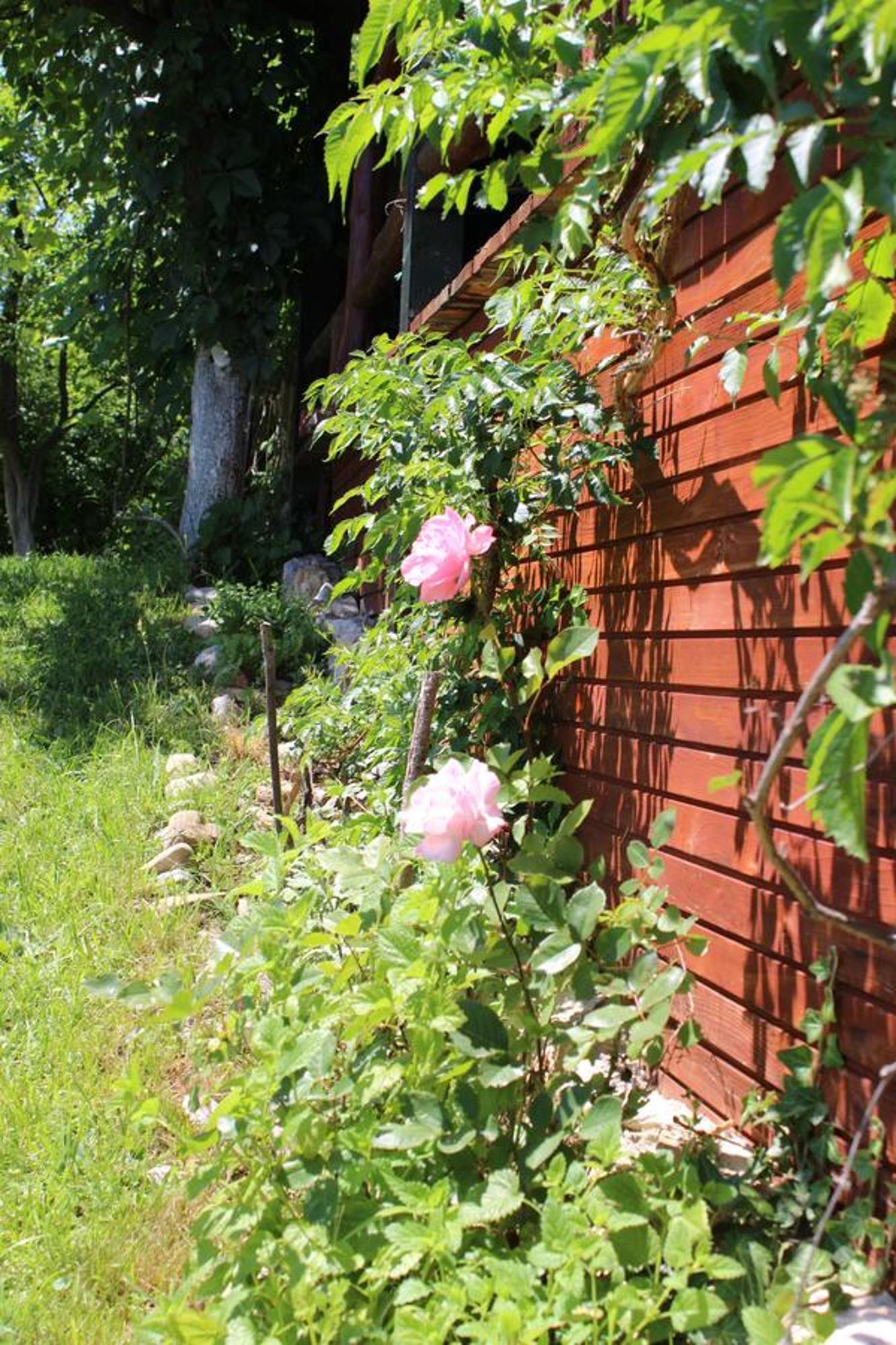 Visoko Gorani Cottage Екстериор снимка